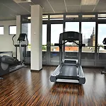 Golden Tulip 4*