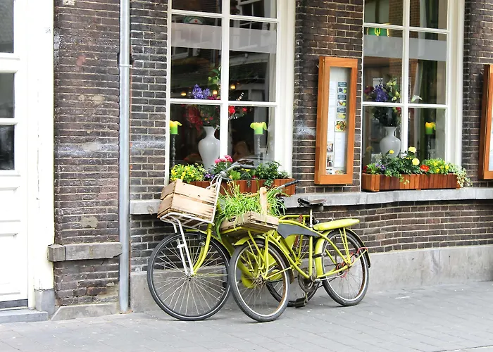 Szálloda Golden Tulip 4*