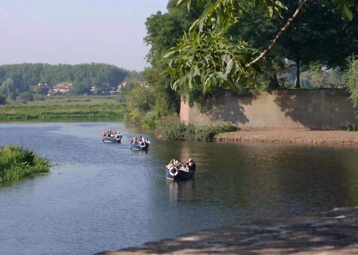 Hotel Golden Tulip 4*