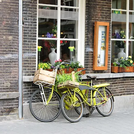 Hotel Golden Tulip 4*